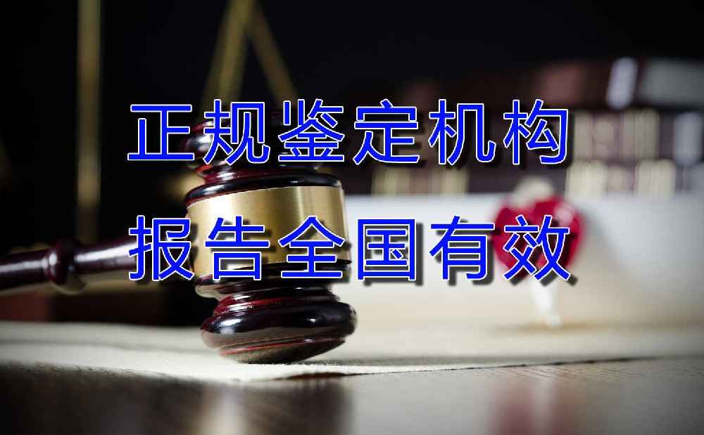 文书材料鉴定指南：纸张、墨水、油墨、墨粉及粘合剂的详细分析